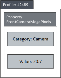 data model profile diagram